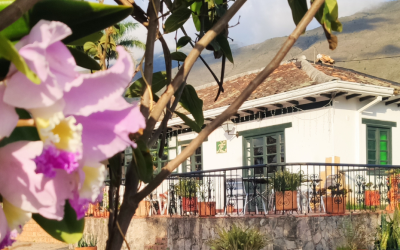 Qué hacer en Villa de Leyva: Guía para una escapada inolvidable